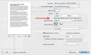 Über die PDF Vorschau einzelne Pages Seiten auswählen und dann drucken