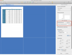 Druckeinstellungen in Numbers von iWork